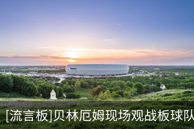 [流言板]贝林厄姆现场观战板球队伯明翰凤凰，此前曾收购该队股份